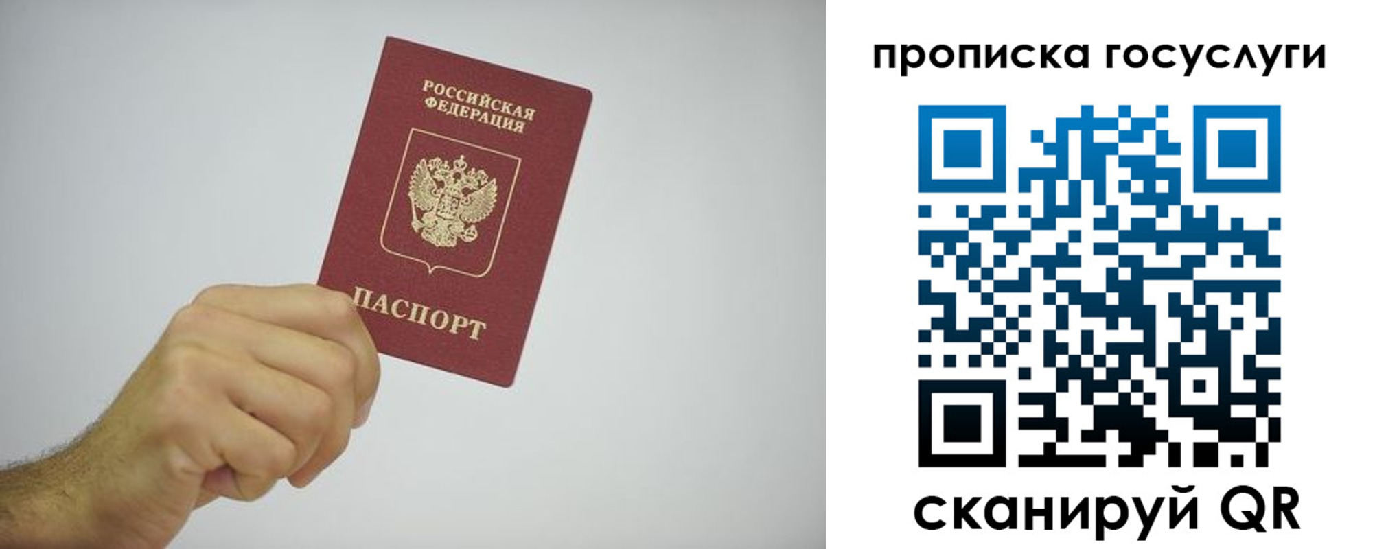 прописка законно в Мурманске